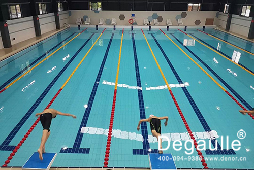 戴高樂恒溫<a href='http://m.zl-fcjs.com' class='keys' title='點擊查看關(guān)于泳池工程的相關(guān)信息' target='_blank'>泳池工程</a>